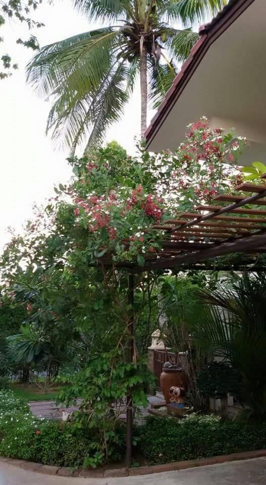 Periwinkle Villa Koh Chang Buitenkant foto
